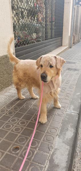 ASLAN ASLAN