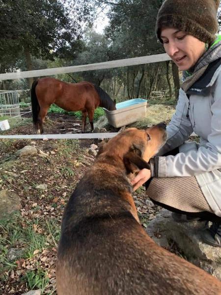 PAOLO (ADOPCIÓN COSTE 0)