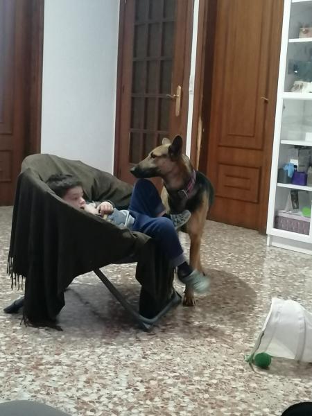 LAYKA