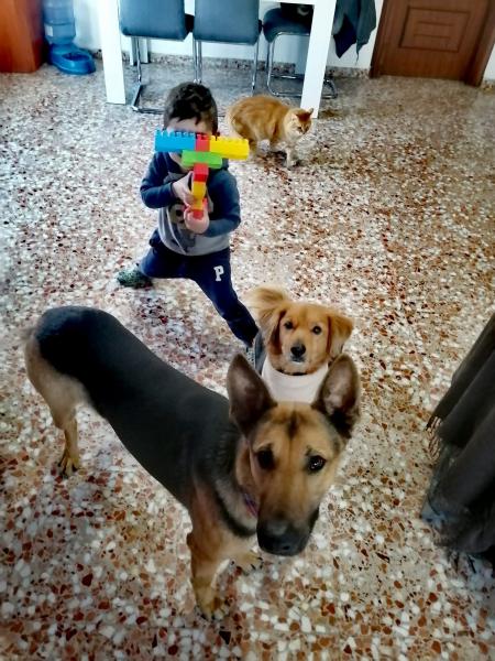 LAYKA