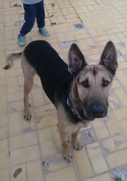 LAYKA