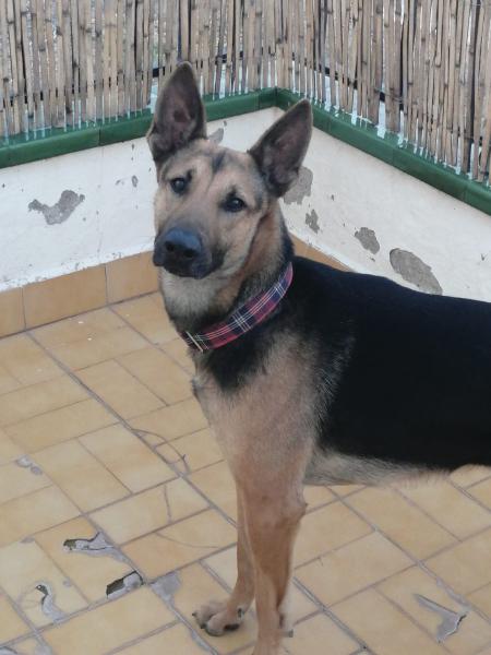 LAYKA