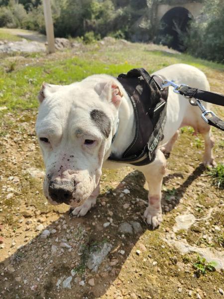 PEQUE (COSTE 0)