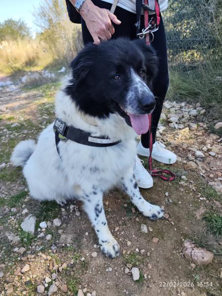 LUXOR (LUPO)