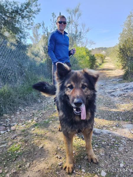 SANS&Oacute;N (LOBO)