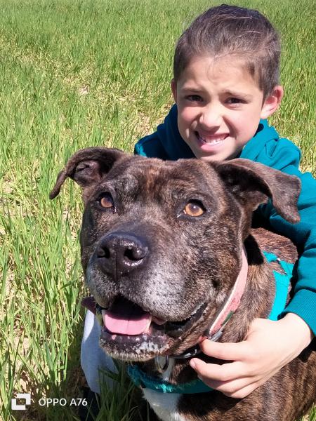 YAKO (ADOPCI&Oacute;N COSTE 0)