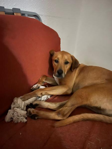 MUKI (JUNIOR)