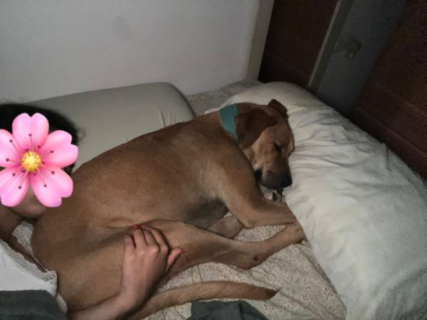 MUKI (JUNIOR)