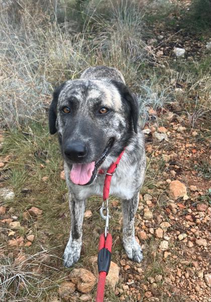 MAYA (ZOEY)