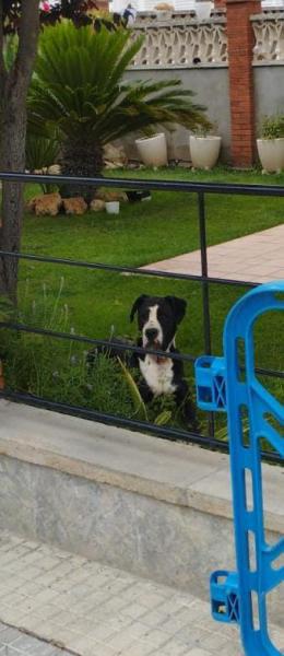 COSMO (CONDE)