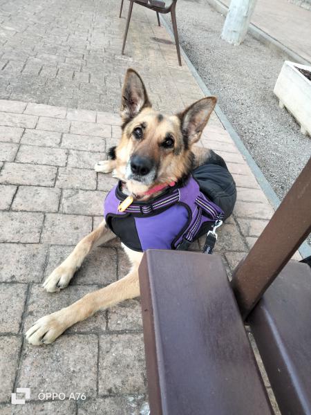 KIRA