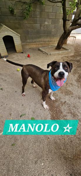 MANOLO