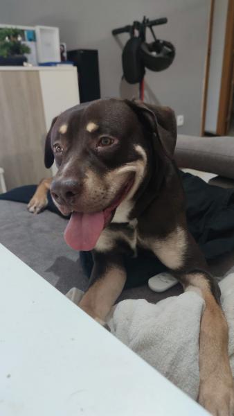ZEUS