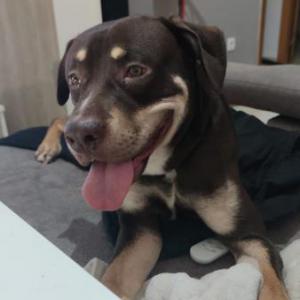 ZEUS