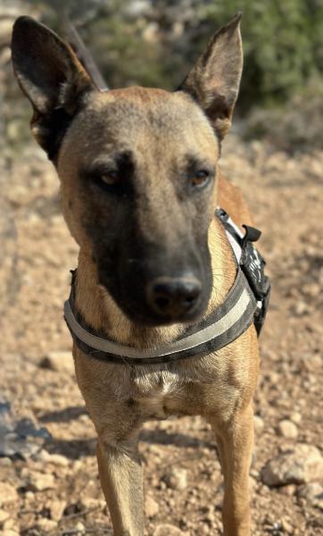NARCO