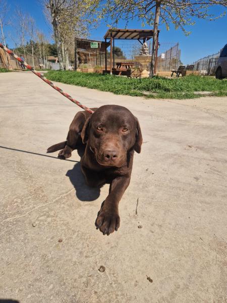 SEBASTIAN