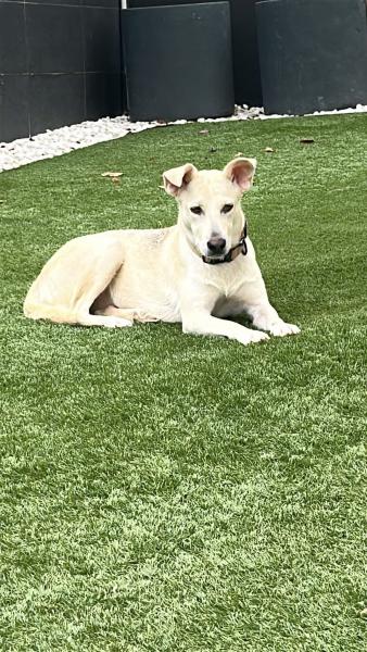 PALOMA