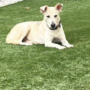 PALOMA