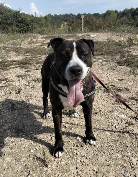 M&Aacute;XIMO (COSTE 0)