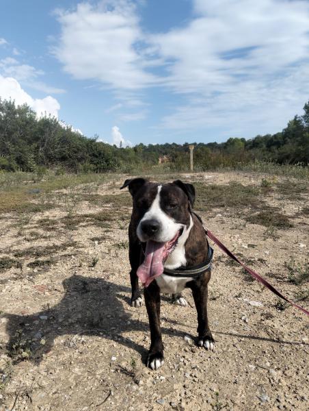 M&Aacute;XIMO (COSTE 0)