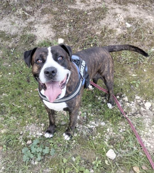 M&Aacute;XIMO (COSTE 0)