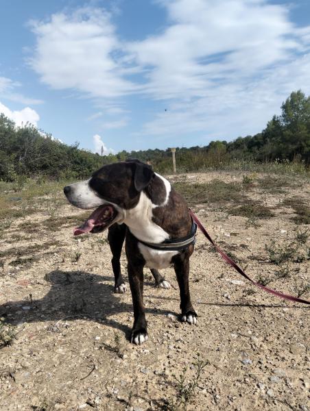 M&Aacute;XIMO (COSTE 0)