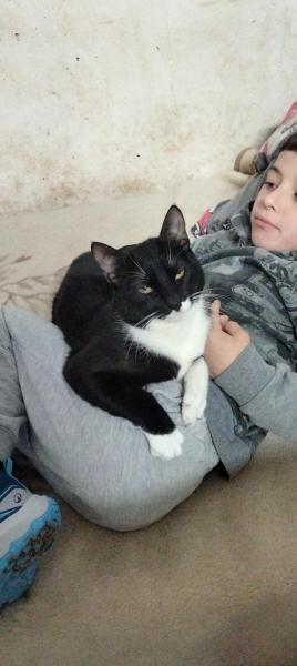 OREO