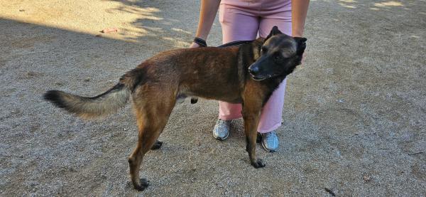 TRUENO